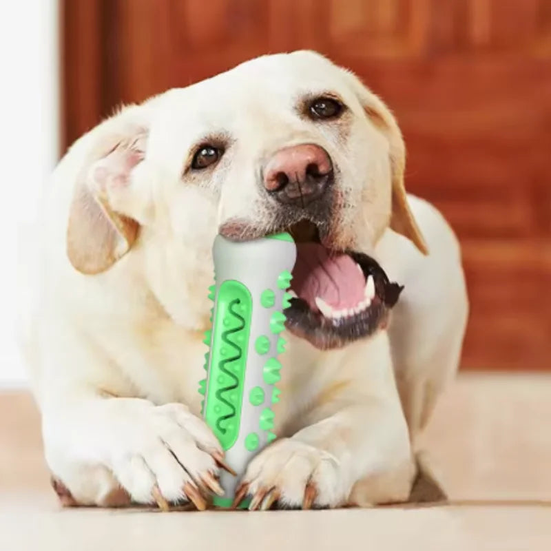 Puppy Dental Care Molar Toothbrush Chew Toy - Soft Teething Toy for Dogs